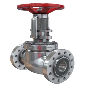 Globe Valve 1